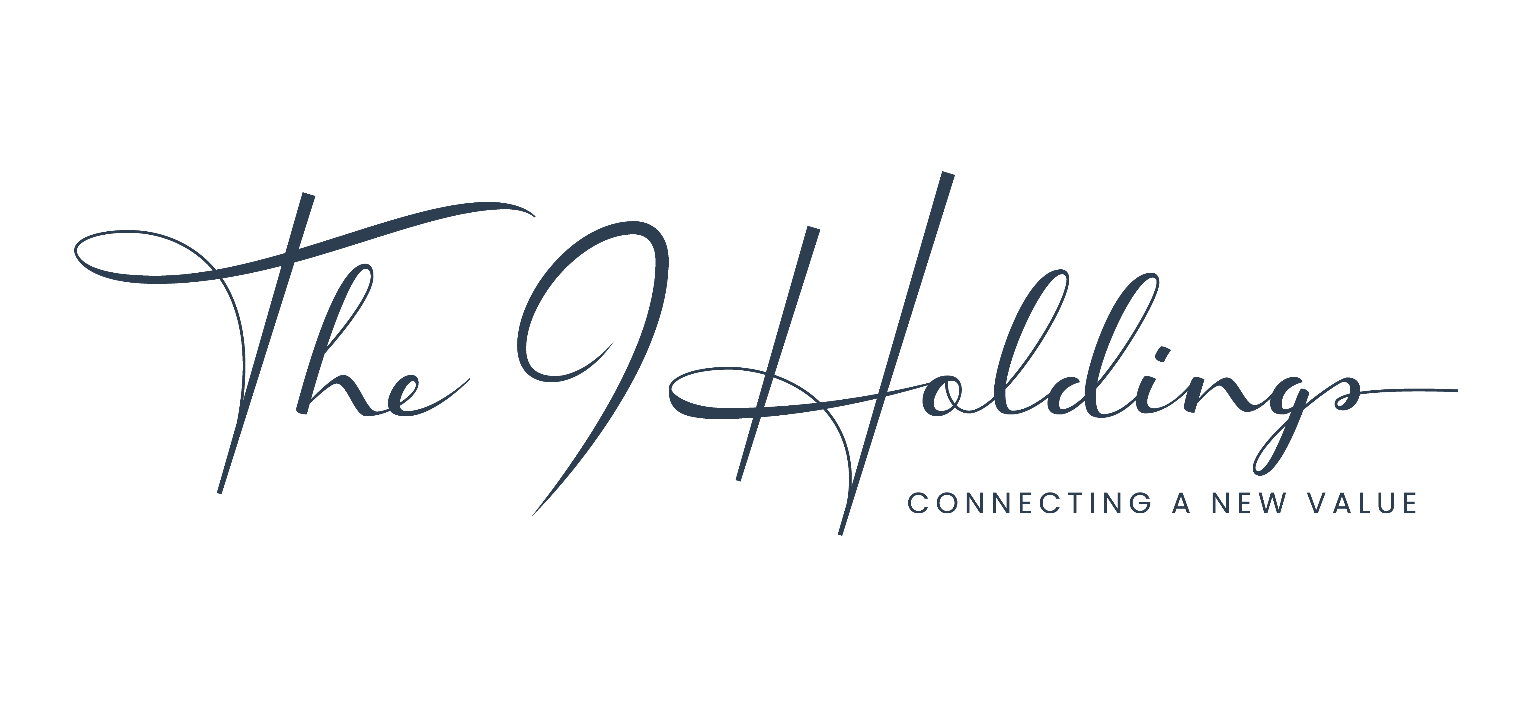 주식회사더나인홀딩스