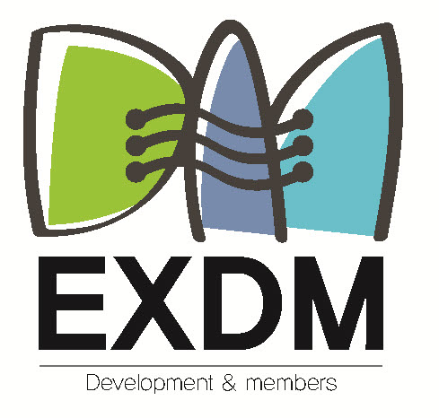 주식회사 이엑스디엠