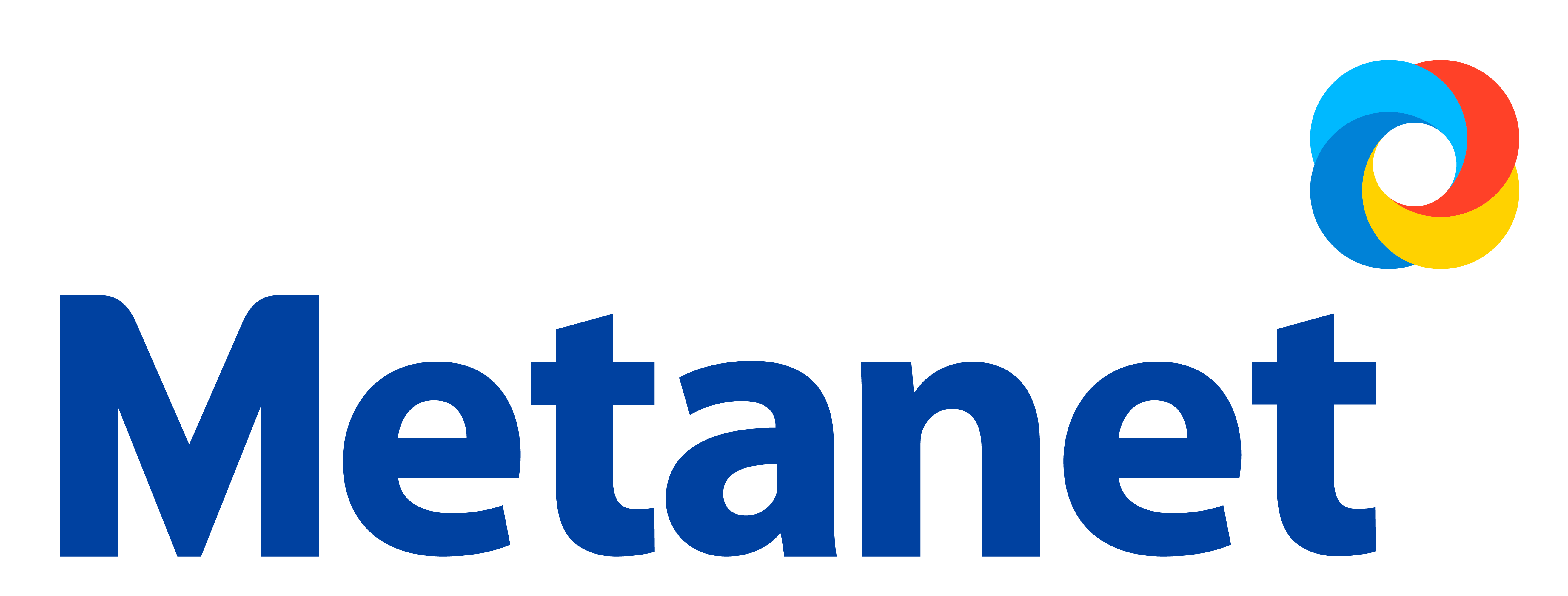 주식회사 메타넷대우정보