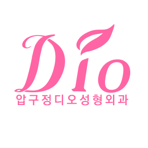 압구정디오성형외과